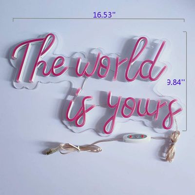 Письмо света СИД электронного слова декоративное, изготовленная на заказ акриловая неоновая вывеска СИД пива